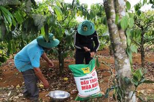 Phân bón không thuộc đối tượng chịu thuế VAT: DN, nông dân thiệt đơn, thiệt kép