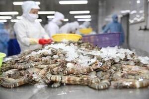 Xuất khẩu tôm đối diện nhiều thách thức