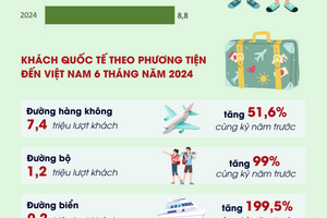 Gần 9 triệu lượt khách quốc tế đến Việt Nam trong 6 tháng đầu năm 2024