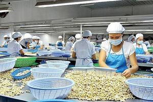 Xúc tiến thương mại đi vào chiều sâu: cú hích cho xuất khẩu