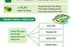 Hà Nội phấn đấu 4 huyện đạt chuẩn nông thôn mới nâng cao trong tháng 7/2024