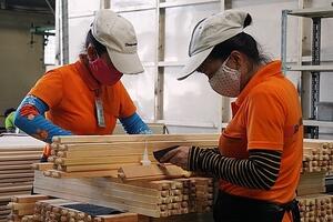 Xuất khẩu gỗ và sản phẩm gỗ năm 2024 có thể đạt trên 16 tỷ USD