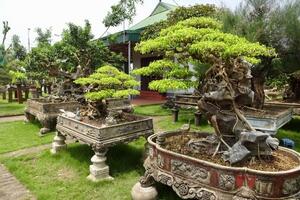 Festival sinh vật cảnh lần đầu được tổ chức tại Hà Nội