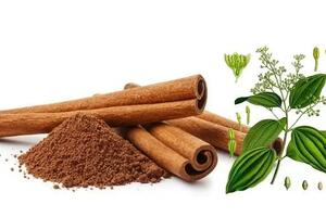 Là nước xuất khẩu đứng đầu thế giới nhưng Việt Nam vẫn phải nhập khẩu mặt hàng này