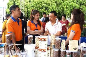 Phát triển hệ sinh thái khởi nghiệp đổi mới sáng tạo theo chiều sâu