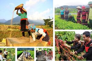 Đẩy nhanh tiến độ triển khai thực hiện các chương trình mục tiêu quốc gia