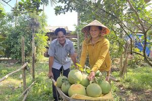 Trái cây VietGAP- hướng đi nhiều triển vọng