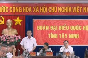 Bộ trưởng Bộ Công Thương trả lời về giải pháp tháo gỡ khó khăn trong nhập khẩu mặt hàng mía cây