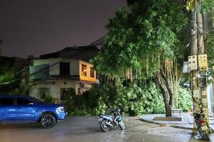 Người dân mong muốn gì sau hàng trăm cây xanh ở thành phố Thanh Hóa đổ gãy?