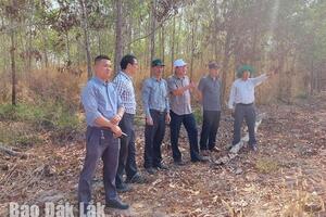 Huyện Ea Súp: Nhức nhối các dự án nông lâm nghiệp