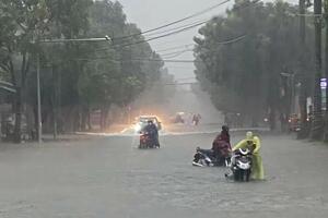 Mưa lớn, nhiều tuyến đường ở Nghệ An ngập sâu, chìm trong biển nước