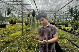 Chàng trai Cần Thơ khởi nghiệp từ loài cây không lớn lên từ đất
