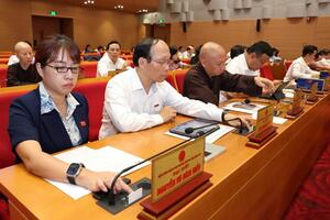 Phê duyệt chủ trương chuyển mục đích sử dụng rừng sang mục đích khác 
