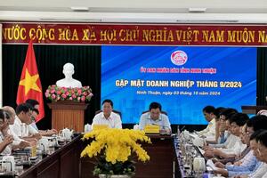 Doanh nghiệp tỉnh Ninh Thuận hội nhập và phát triển