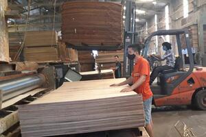Thông tư tạm ngừng kinh doanh chuyển khẩu, kinh doanh tạm nhập gỗ dán vào Việt Nam, tái xuất sang Hoa Kỳ