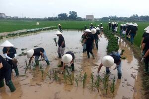 Du lịch nông nghiệp - cơ hội mới cho người nông dân Thủ đô