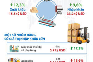 Hà Nội: kim ngạch xuất khẩu hàng hóa tăng mạnh trong 10 tháng năm 2024
