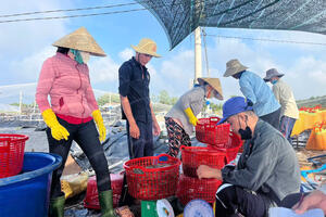 Nhờ nuôi tôm công nghệ cao, ông nông dân kiếm 45 tỷ đồng/năm