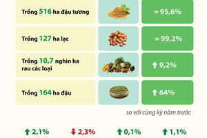 Hà Nội: sản xuất nông nghiệp, chăn nuôi ảnh hưởng do bão Yagi