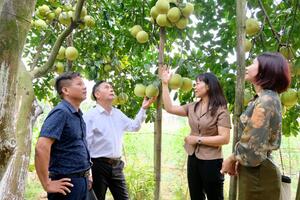 Lãnh đạo TP Hà Nội sẽ đối thoại, tháo gỡ khó khăn cùng nông dân