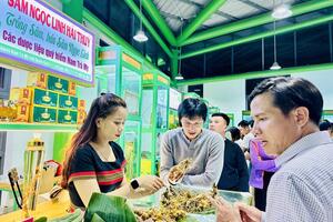 Quảng Nam định hướng đưa sâm Ngọc Linh thành thương hiệu quốc gia