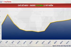 Thị trường hàng hóa hôm nay 25/11/2024: Giá dầu thế giới tăng vọt