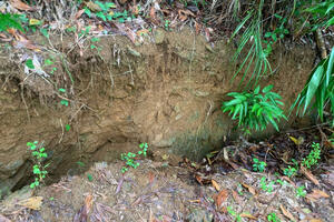 Quảng Nam: khẩn cấp đảm bảo an toàn cho người dân Nà Nổ