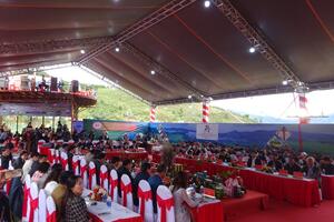 Sâm Ngọc Linh bị giả mạo – người dân, doanh nghiệp bức xúc