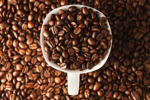 Giá cà phê hôm nay 11/12: Robusta nối dài chuỗi ngày tăng giá