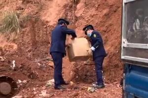 Lạng Sơn: tiêu hủy hơn 1 tấn thực phẩm nhập lậu là tang vật vi phạm