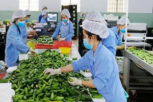 Anh gia nhập CPTPP: 'Luồng gió mới' thúc đẩy thương mại Việt Nam - Vương quốc Anh
