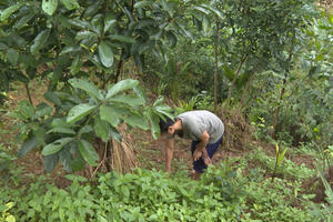 Đổi thay ở vùng cao Quảng Ngãi
