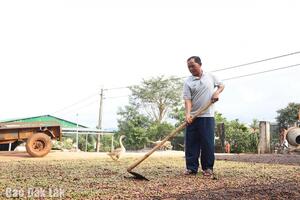 Gương sáng ở buôn Drai