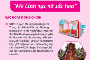 Festival hoa Mê Linh năm 2024 - “Mê Linh rực rỡ sắc hoa”
