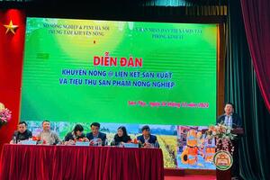 Xây dựng chuỗi liên kết sản xuất và tiêu thụ sản phẩm nông nghiệp bền vững