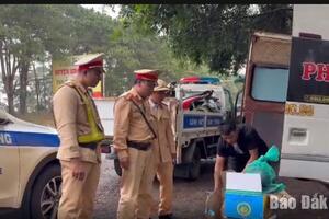 Phát hiện đối tượng vận chuyển trái phép 3 cá thể nghi cầy hương