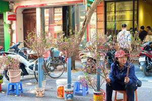 Chợ hoa Hàng Lược - nét văn hóa trăm năm của Tết Hà thành