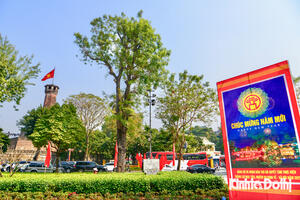 Hà Nội: phố phường trang hoàng, cờ hoa tấp nập đón Xuân Ất Tỵ 2025