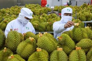 Xuất khẩu rau quả giảm tốc trong tháng đầu năm 2025