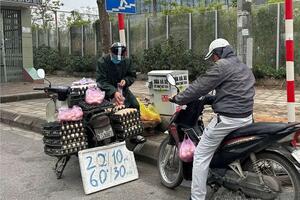 Giá trứng gà giảm mạnh
