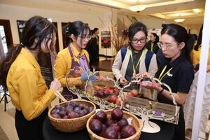 Mận Australia lần đầu tiên ra mắt tại thị trường Việt Nam