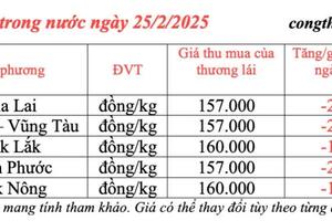 Dự báo giá tiêu trong nước ngày mai 26/2/2025 tiếp đà giảm