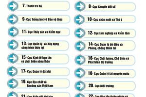 Infographic |Cơ cấu tổ chức Bộ Nông nghiệp và Môi trường