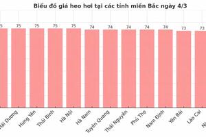 Giá heo hơi hôm nay 4/3/2025: Cả nước đồng loạt tăng giá