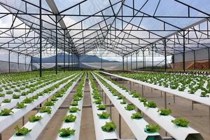 Tăng cường ứng dụng công nghệ số phục vụ phát triển nông nghiệp