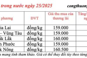 Giá tiêu hôm nay 25/3/2025 trong nước thị trường neo mức cao