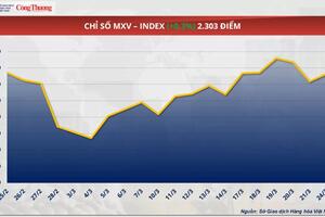Thị trường hàng hóa: Giá đậu tương tiếp đà lao dốc