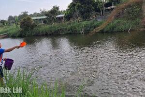Hiệu quả từ chuyển đổi cây trồng, vật nuôi ở Xuân Phú