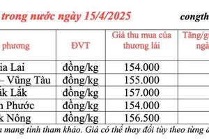 Giá tiêu hôm nay 15/4/2025, thị trường neo ở mức cao