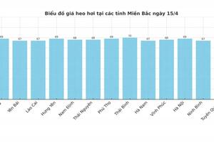 Giá heo hơi hôm nay 15/4/2025: Miền Bắc tăng nhẹ